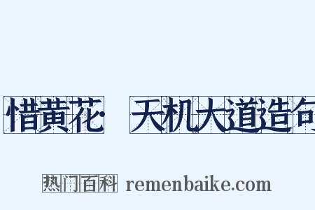 惜黄花·天机大道造句是什么意思的图片